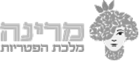 אתר תדמית לחברה - מרינה פטריות